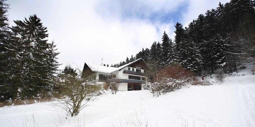 Hotel-Pension Zum Paradies Willingen  Extérieur photo