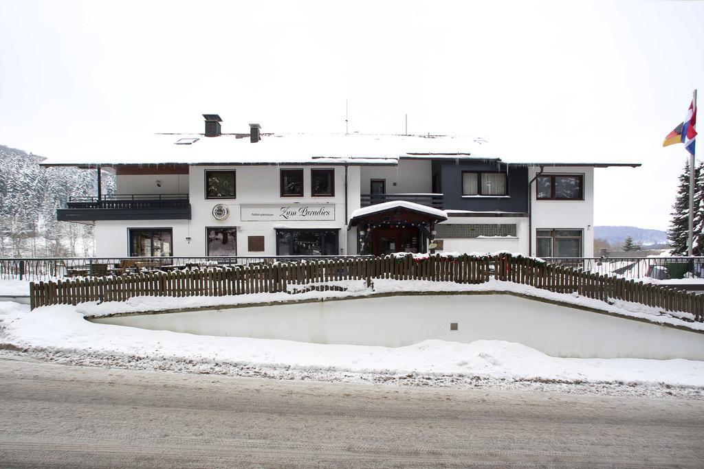 Hotel-Pension Zum Paradies Willingen  Extérieur photo