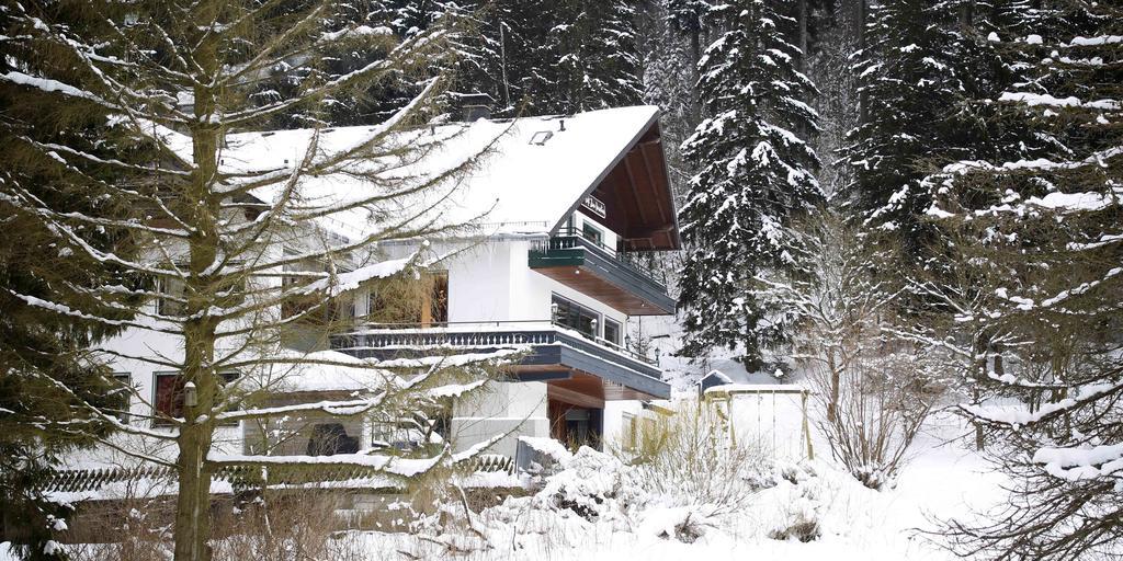 Hotel-Pension Zum Paradies Willingen  Extérieur photo