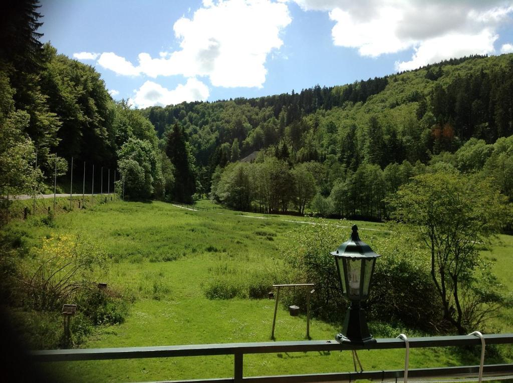 Hotel-Pension Zum Paradies Willingen  Extérieur photo