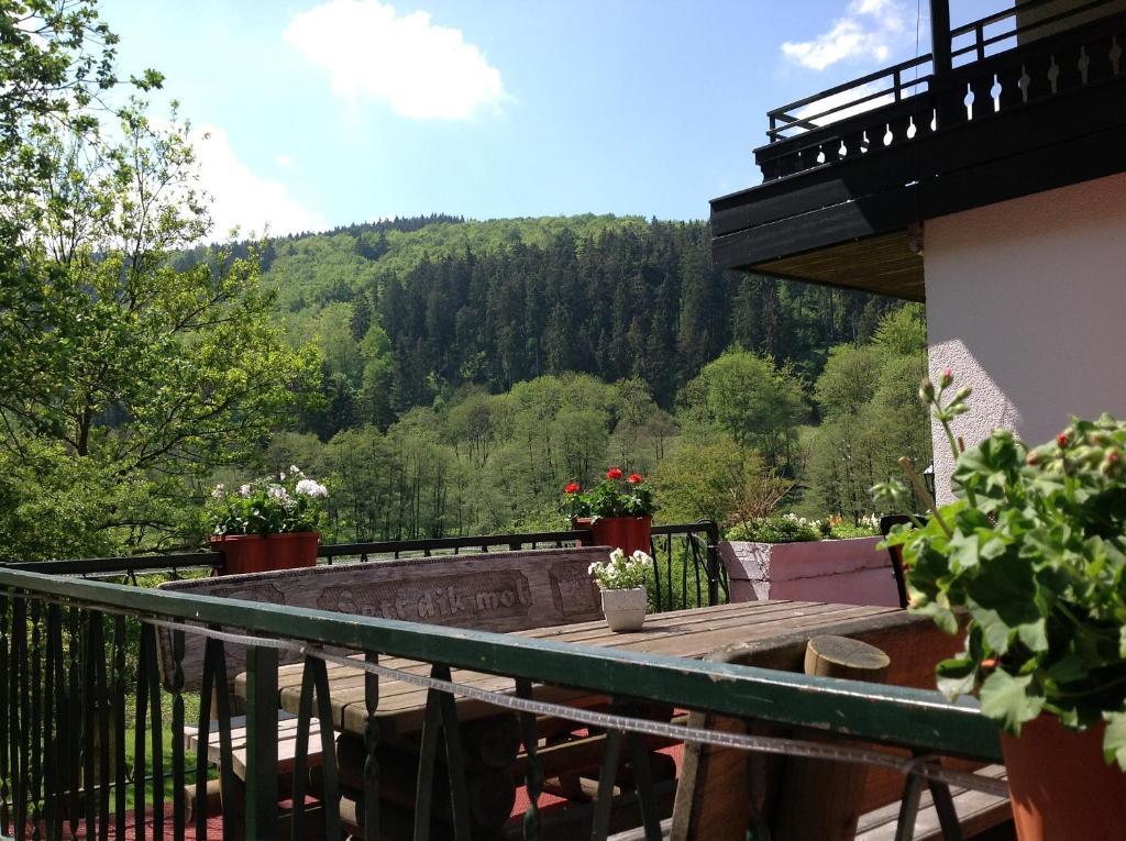 Hotel-Pension Zum Paradies Willingen  Extérieur photo