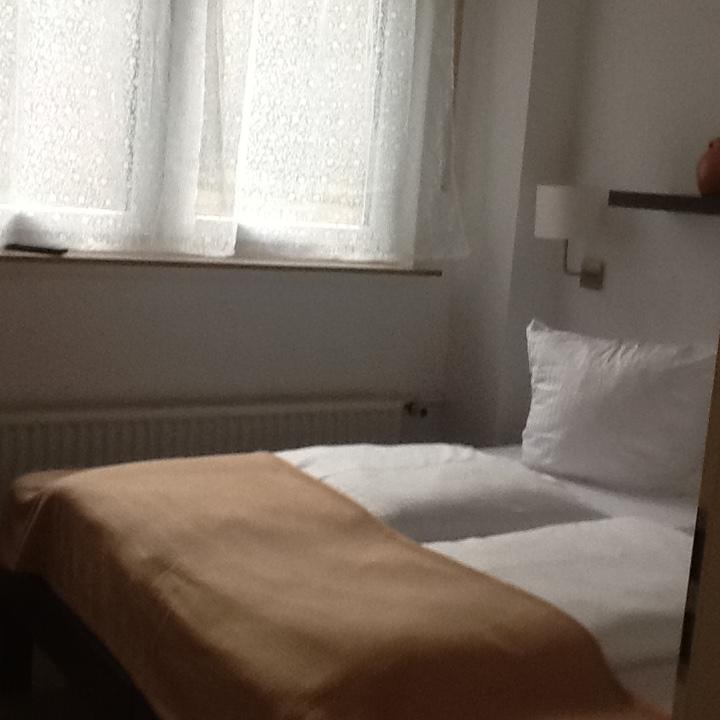 Hotel-Pension Zum Paradies Willingen  Extérieur photo